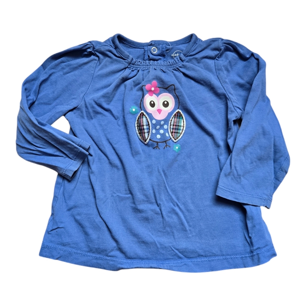 Blue Owl Graphic Long Sleeve Shirt
